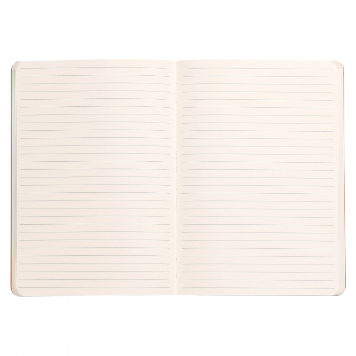 Caiet A5 Rhodia softcover Fuchsia dictando, 160 pag [2]