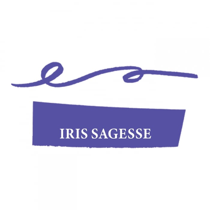 Calimara 10 ml Herbin The Pearl of Inks Iris Sagesse Jacques Herbin [4]