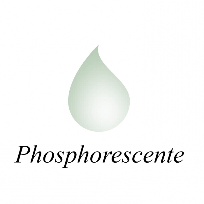 Calimara 30 ml Fine Arts Pigmented Phosphorescente, Jacques Herbin [6]