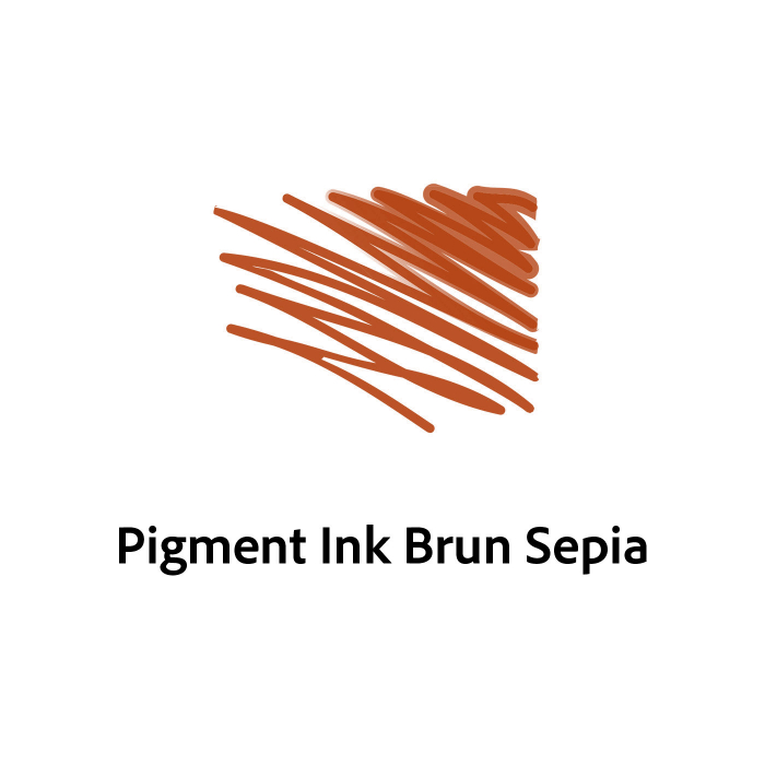 Calimara Cerneala Pigment Brun Sepia 60ml, Platinum [5]