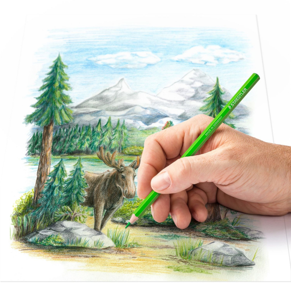 Creioane Colorate 72 culori 146C-C72 100% PEFC, Staedtler [5]