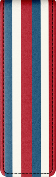 Etui Parker Economic Stripe Sam, 2 instrumente [3]