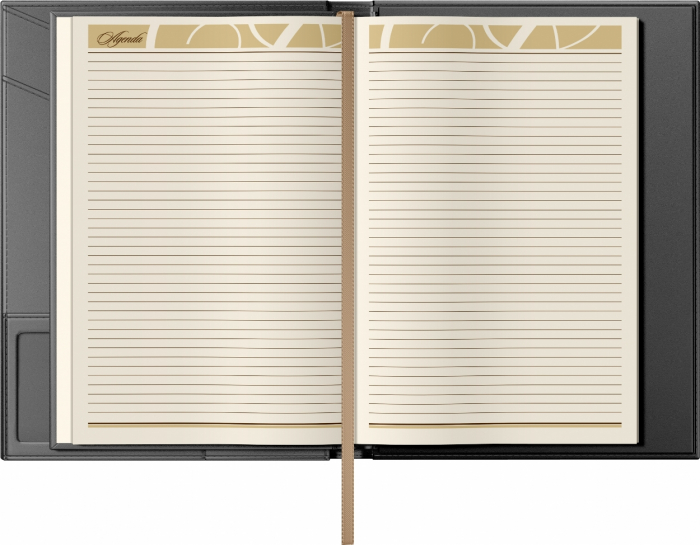 Mapa Piele cu agenda B5 Black, Princ [6]