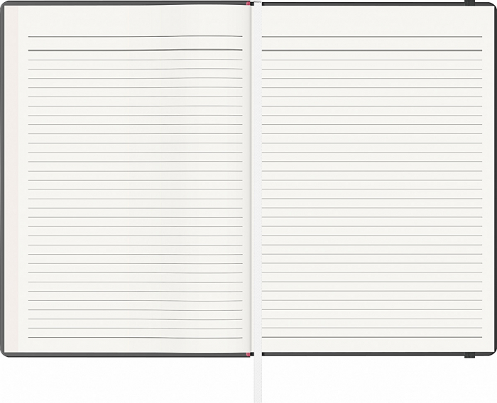 Notes A5 Velvet, Precision (13 variante culori coperti) [2]