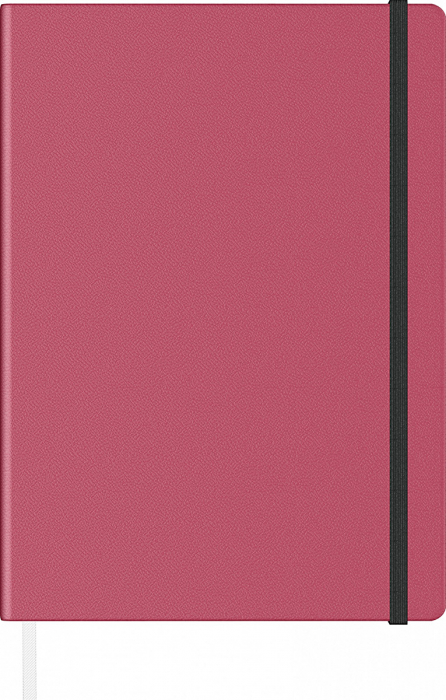 Notes A5 Velvet, Precision (13 variante culori coperti) [4]