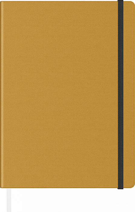 Notes A5 Velvet, Precision (13 variante culori coperti) [2]