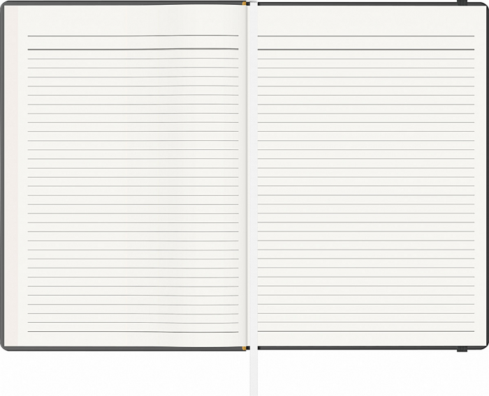 Notes A5 Velvet, Precision (13 variante culori coperti) [3]