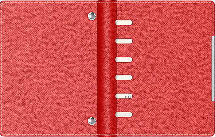 Organizator A6 Alicante Precision (7 variante culori coperti) [5]