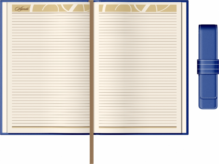 Set Agenda Piele B5 + Pouch Pen Blue, Princ Leather [4]