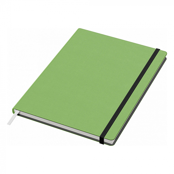 Set Stilou Caran D'Ache 849 Green + Notes Velvet A5 Green [5]