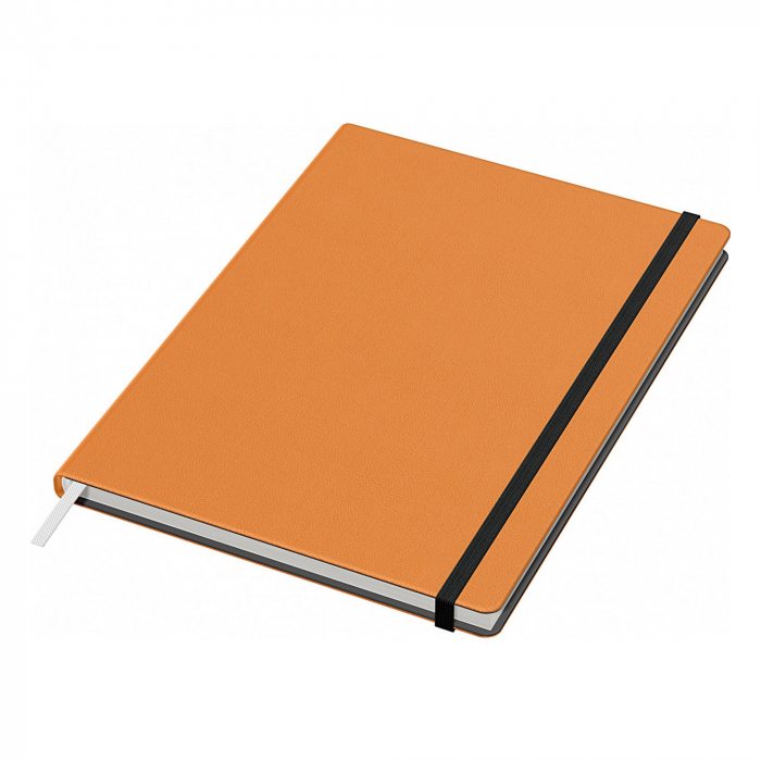 Set Stilou Caran D'Ache 849 Orange + Notes Velvet A5 Orange [5]