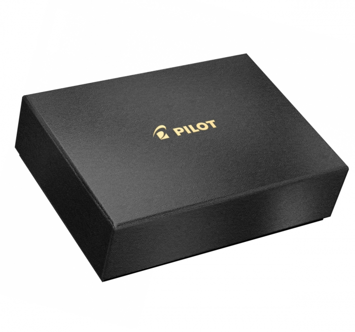 Stilou Custom 823 Transparent Black, Pilot [9]