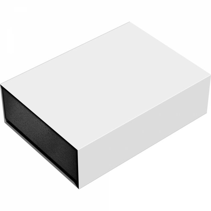 Stilou Custom 823 Transparent Black, Pilot [11]