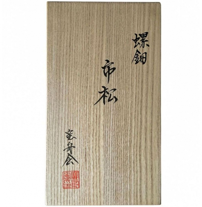 Stilou Souveran M1000 Raden Black Infinity, Pelikan [2]