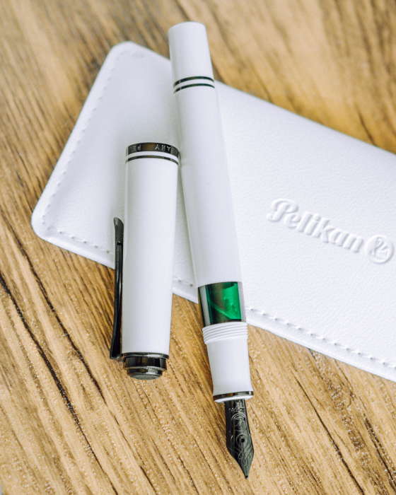 Stilou Souveran M670 Warm Grey Special Edition, Pelikan   [9]