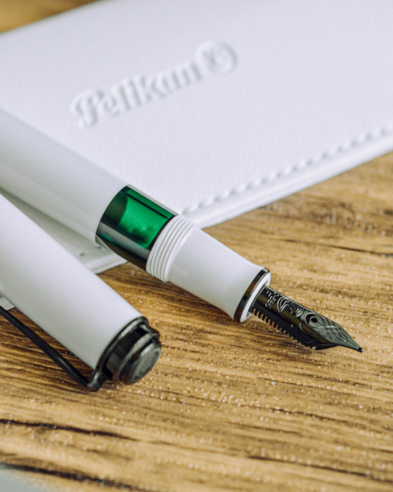 Stilou Souveran M670 Warm Grey Special Edition, Pelikan   [7]