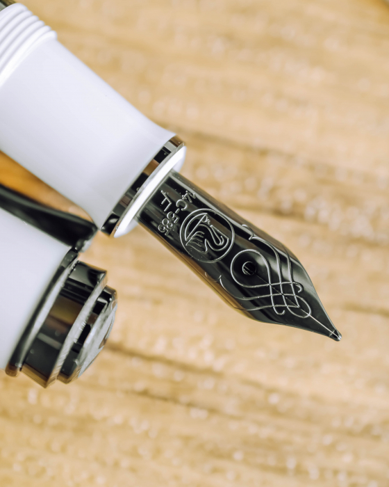 Stilou Souveran M670 Warm Grey Special Edition, Pelikan   [8]