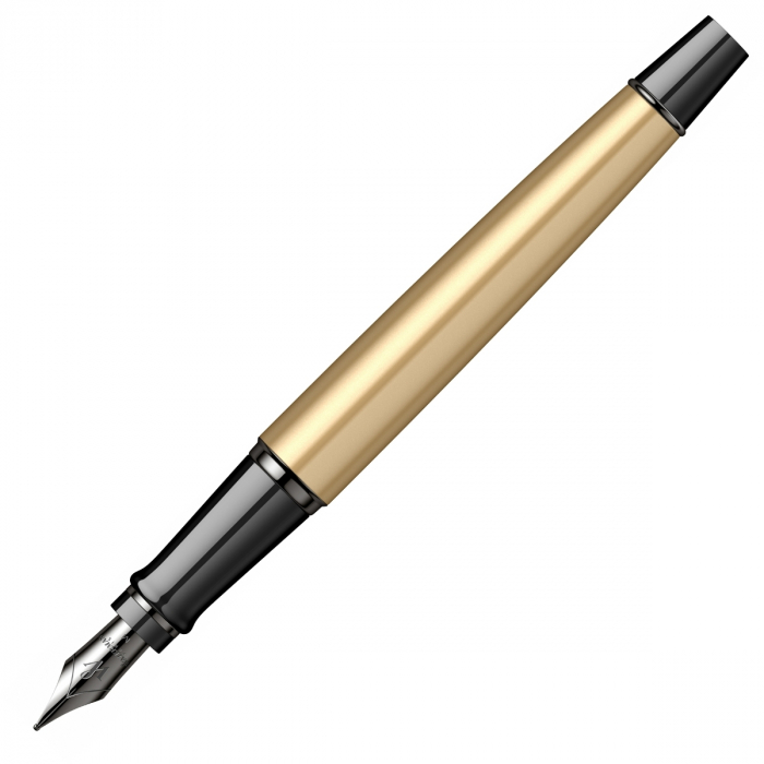 Stilou Waterman Expert Metalic Gold Laquer TT [4]
