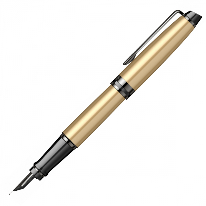 Stilou Waterman Expert Metalic Gold Laquer TT [6]