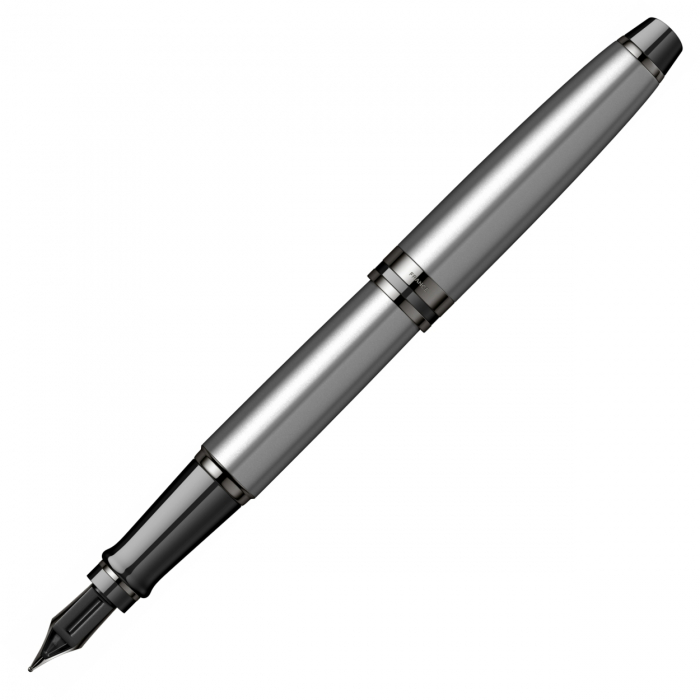 Stilou Expert Metalic Silver Laquer TT, Waterman [6]