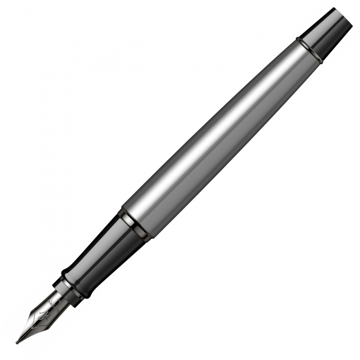 Stilou Expert Metalic Silver Laquer TT, Waterman [5]