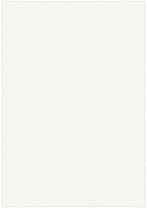 Top Coli Hartie A4 Herbin Traditional Papers 10 foi 125 g/mp, Velin Coton [2]