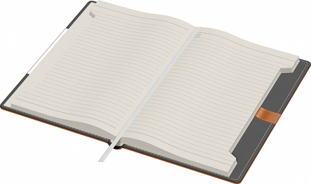 Agenda A5 Alicante Precision (7 variante de culori coperta) [4]
