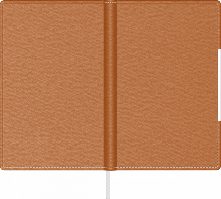 Agenda A5 Alicante Precision (7 variante de culori coperta) [2]