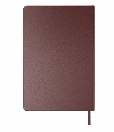 Agenda A5 Sundance Premium Brown, Scrikss [4]