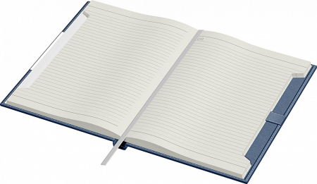 Agenda Lux B5 Alicante Precision (7 variante de culori coperta) [4]
