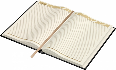 Agenda piele B5 Model A Black, Princ [1]