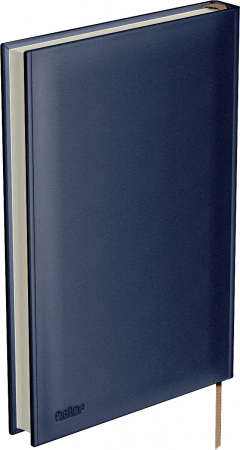Agenda piele B5 Business Model F Navy, Princ Leather [3]