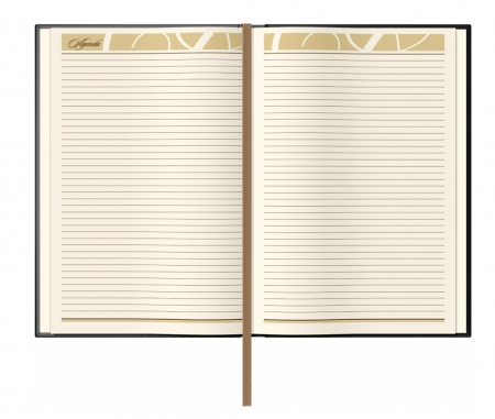 Agenda piele B5 -Model H - Black Princ [5]