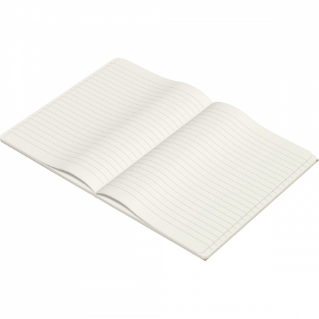 Caiet A5 Flying Spirit Beige, Clairefontaine [6]