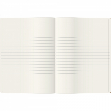 Caiet A5 Flying Spirit Beige, Clairefontaine [1]
