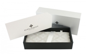 Stilou Excellence A2 Evergreen Gold, Diplomat [2]