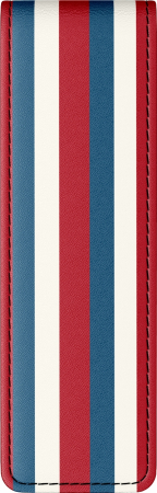 Etui Parker Economic Stripe Sam, 2 instrumente [2]