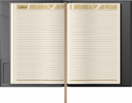 Mapa Piele cu agenda B5 Black, Princ [5]