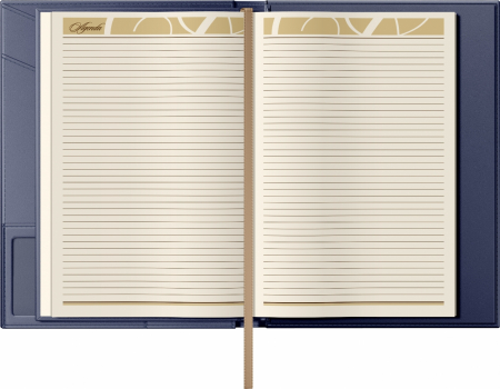 Mapa Piele cu agenda B5 Blue Navy, Princ [3]