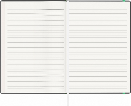 Notes A5 Velvet, Precision (13 variante culori coperti) [1]