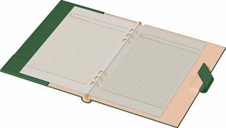 Organizator A4 Novaskin Precision (7 variante culori coperti) [4]