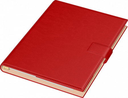 Organizatoare - Organizator A4 Novaskin Precision (7 variante culori coperti)