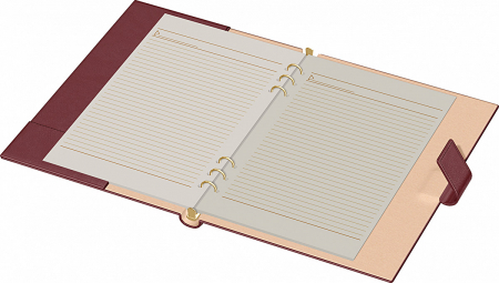 Organizator A4 Novaskin Precision (7 variante culori coperti) [3]