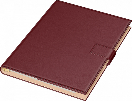 Precision - Organizator A4 Novaskin Precision (7 variante culori coperti)