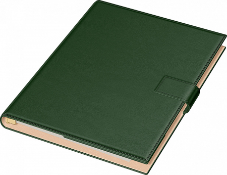 Organizatoare - Organizator A4 Novaskin Precision (7 variante culori coperti)