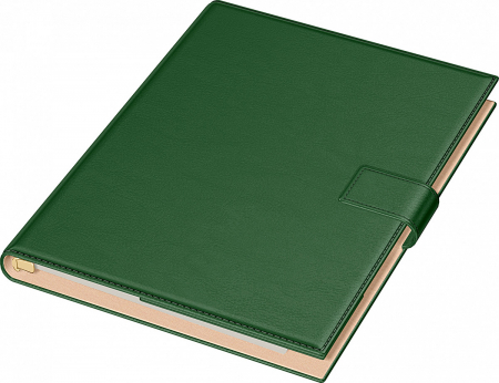 Organizatoare - Organizator A4 Novaskin Precision (7 variante culori coperti)