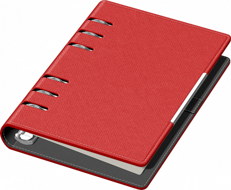 Organizatoare - Organizator B6 Alicante Precision (7 variante culori coperti)