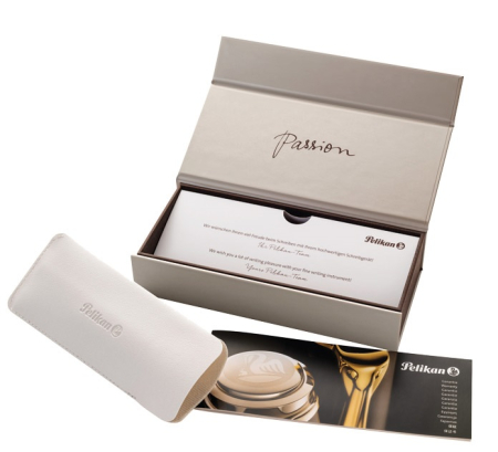  Pix Ductus  K3100 Black Silver, Pelikan [1]