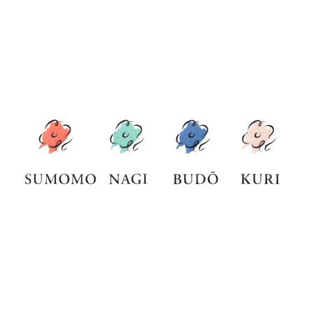 ​​​​​​​Set 4 Calimari 20 ml Sailor Manyo Sumomo Nagi Budo Kuri [4]