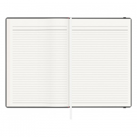 Set Stilou Caran D'Ache 849 Red + Notes Velvet A5 Red [4]
